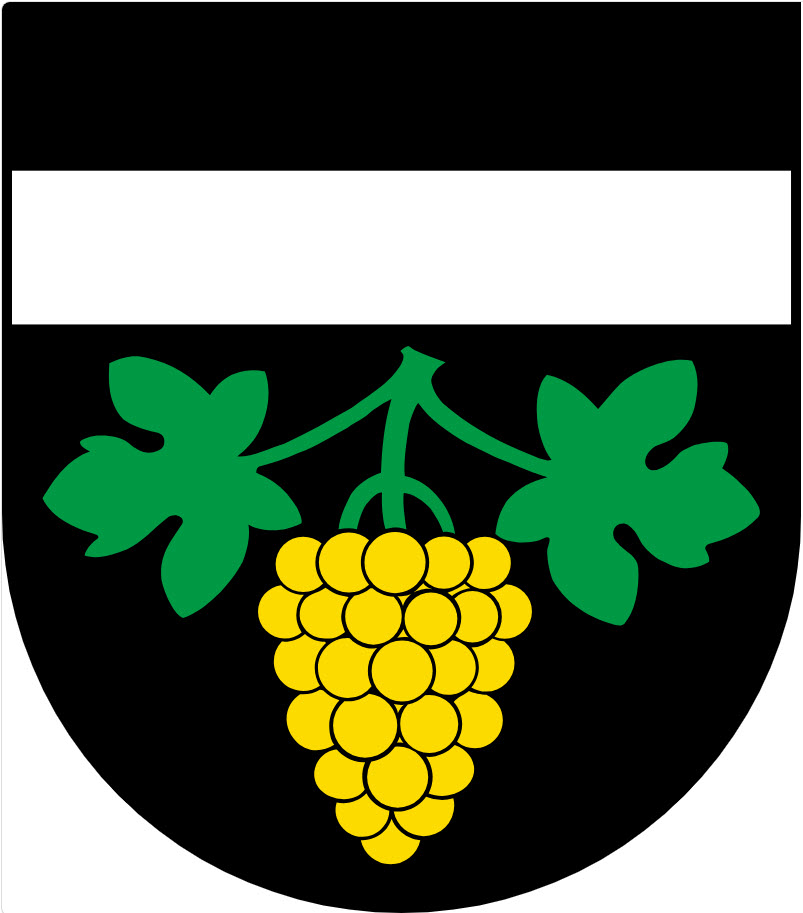 LEG Wünnewil - Flamatt Logo