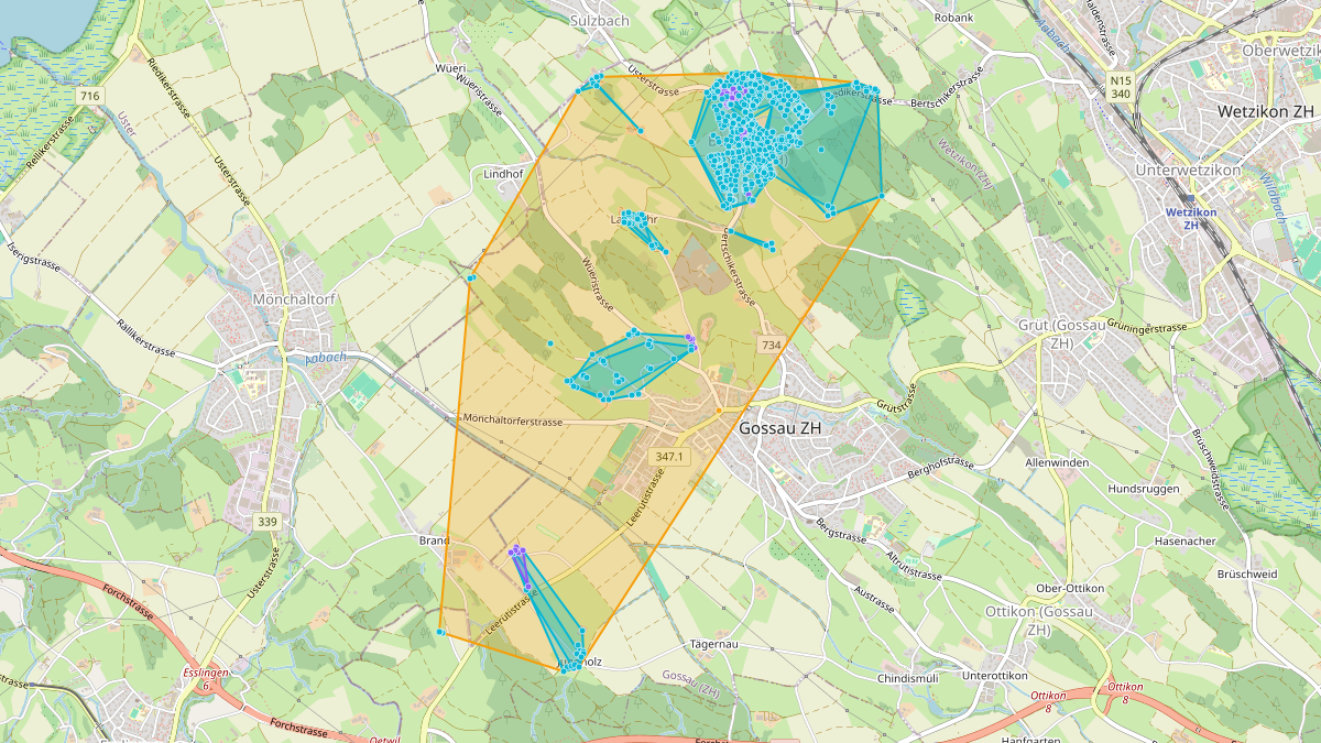 LEG-Potenzial-Karte von LEG Gossau (ZH) – Netzgebiet 2