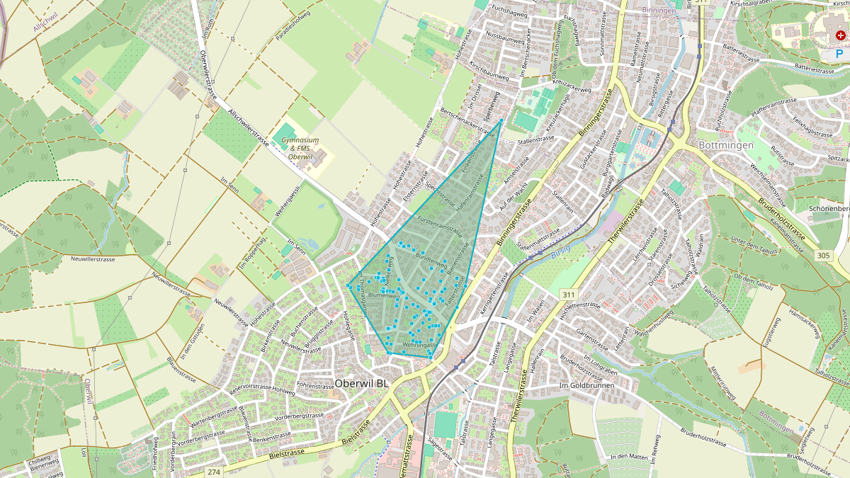 LEG-Potenzial-Karte von Quartier-LEG Allschwilerstrasse