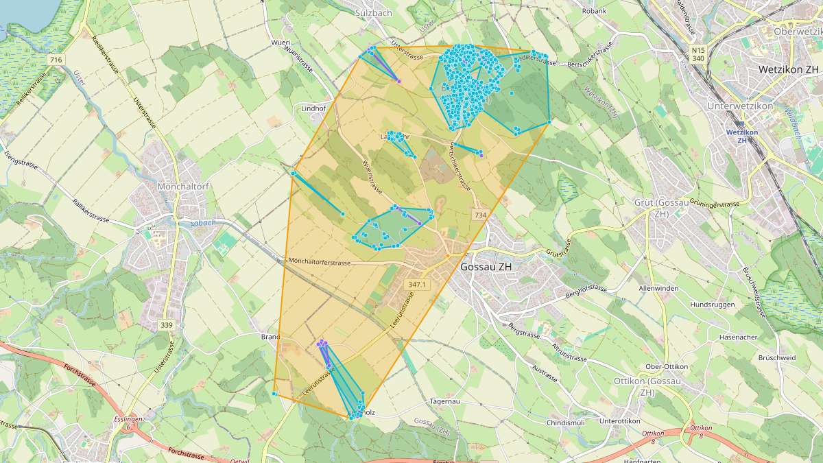 Carte du potentiel CEL de LEG Gossau (ZH) – Netzgebiet 2