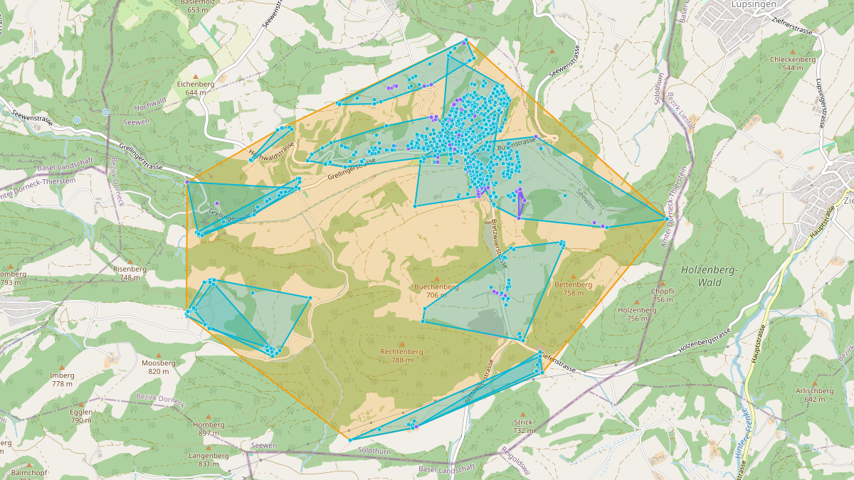 LEG Seewen (SO) – Netzgebiet 1