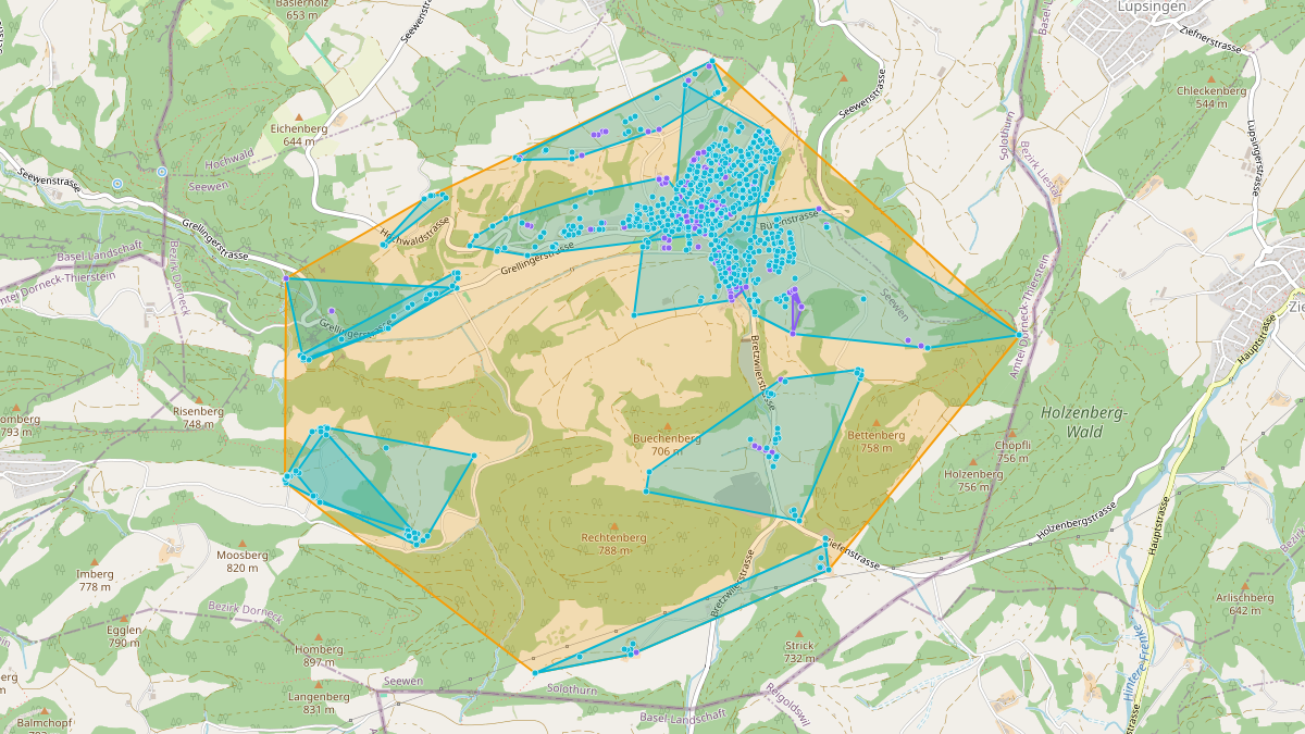 Mappa del potenziale CLE di LEG Seewen (SO) – Netzgebiet 1