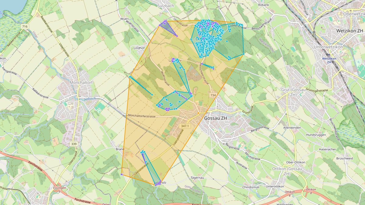LEG Gossau (ZH) – Netzgebiet 2
