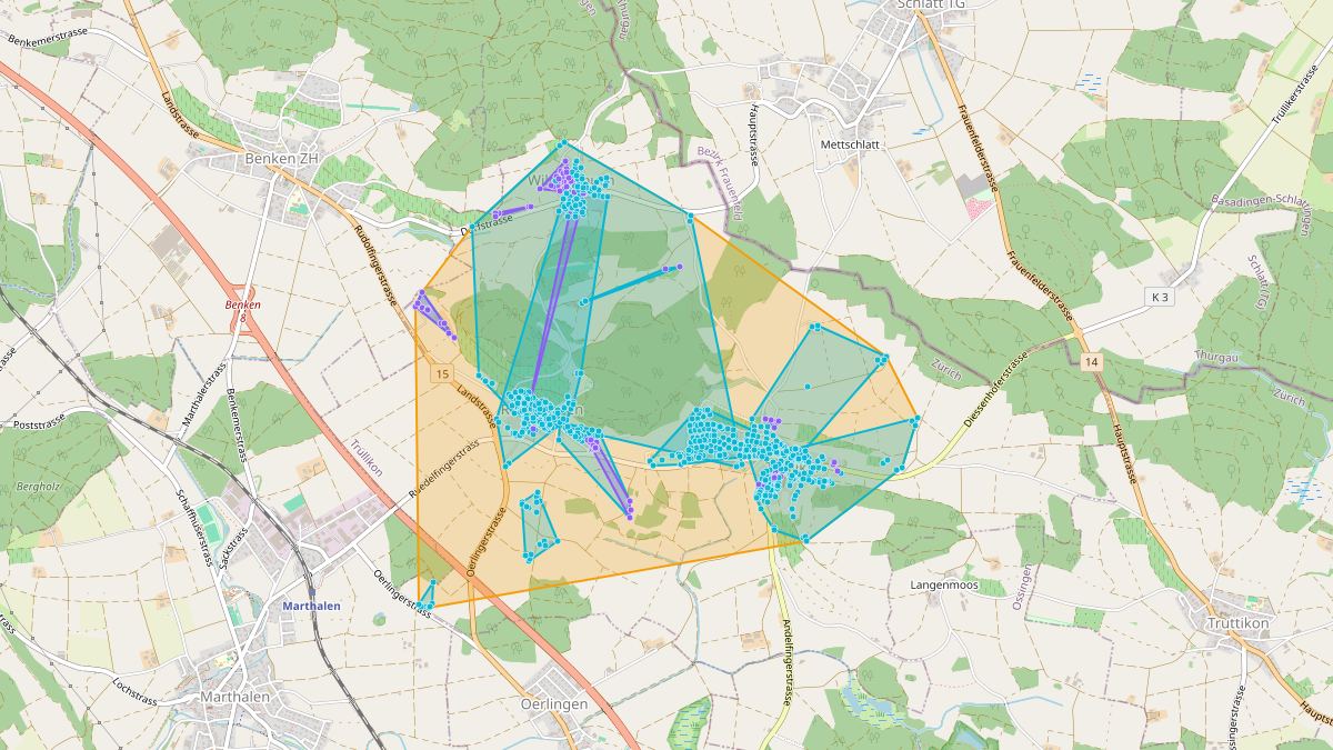 Mappa del potenziale CLE di LEG Trüllikon (ZH) – Netzgebiet 1