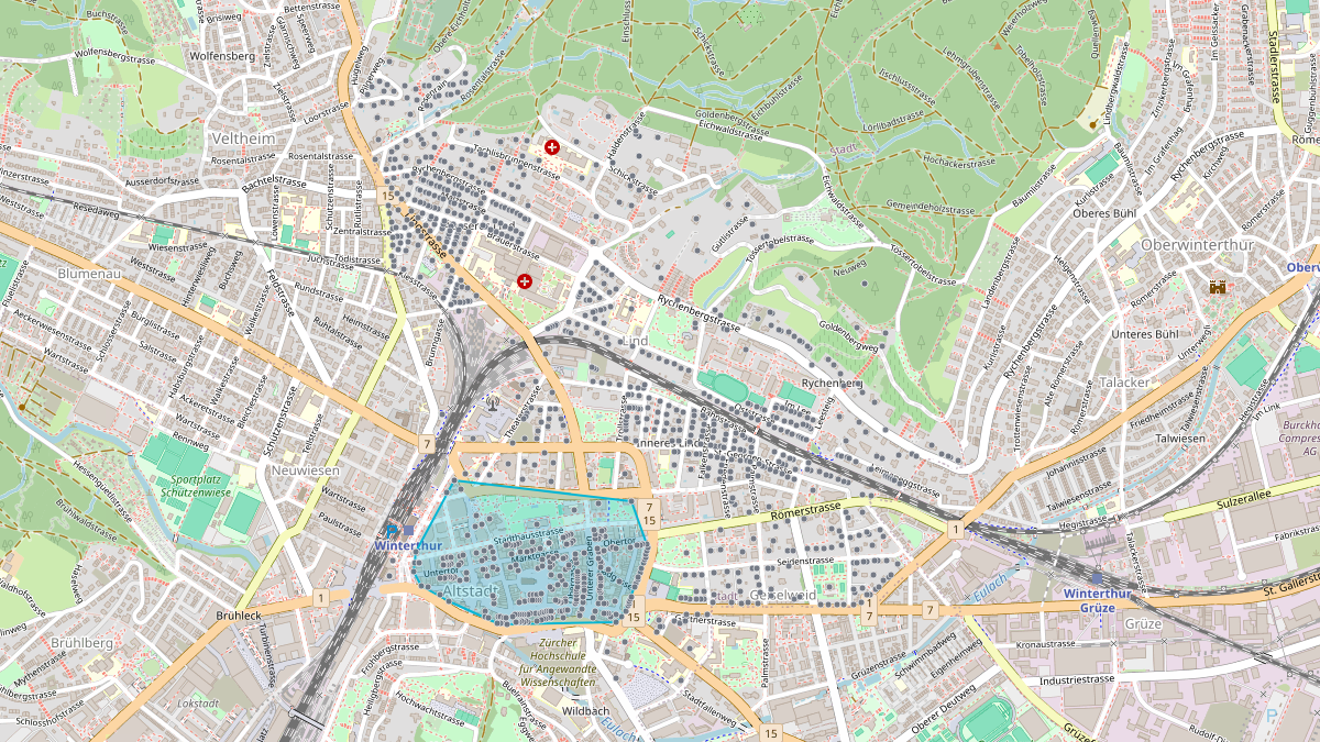LEG Winterthur (ZH)