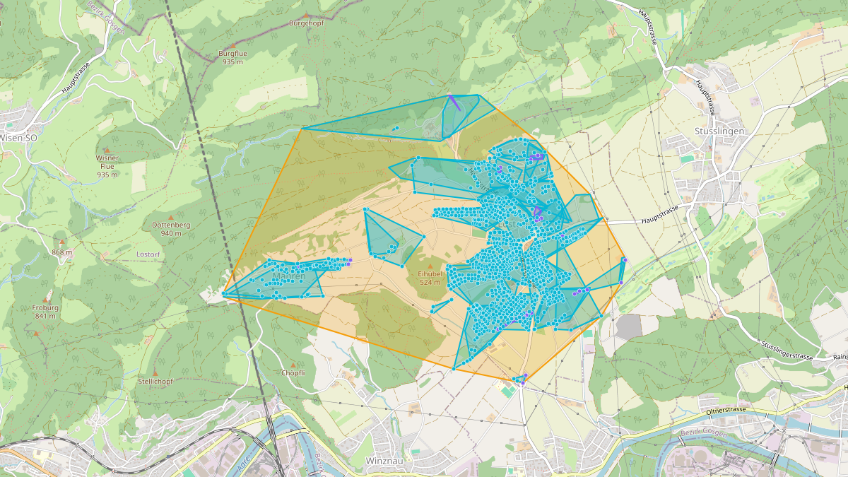 LEG Lostorf (SO) – Netzgebiet 1