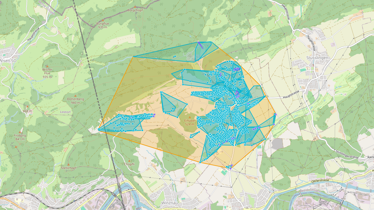 Carte du potentiel CEL de LEG Lostorf (SO) – Netzgebiet 1