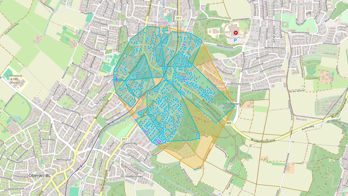 Carte du potentiel CEL de LEG Bottmingen (BL) – Netzgebiet 1